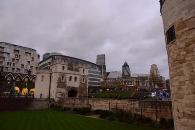 DSC_5679 (Large).JPG